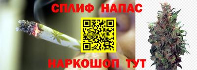 спайс Будённовск